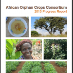 Cover of AOCC Progress Report